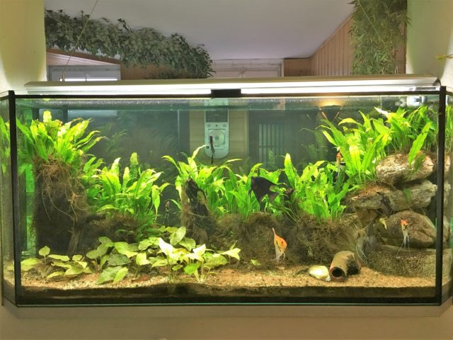 Aquarium